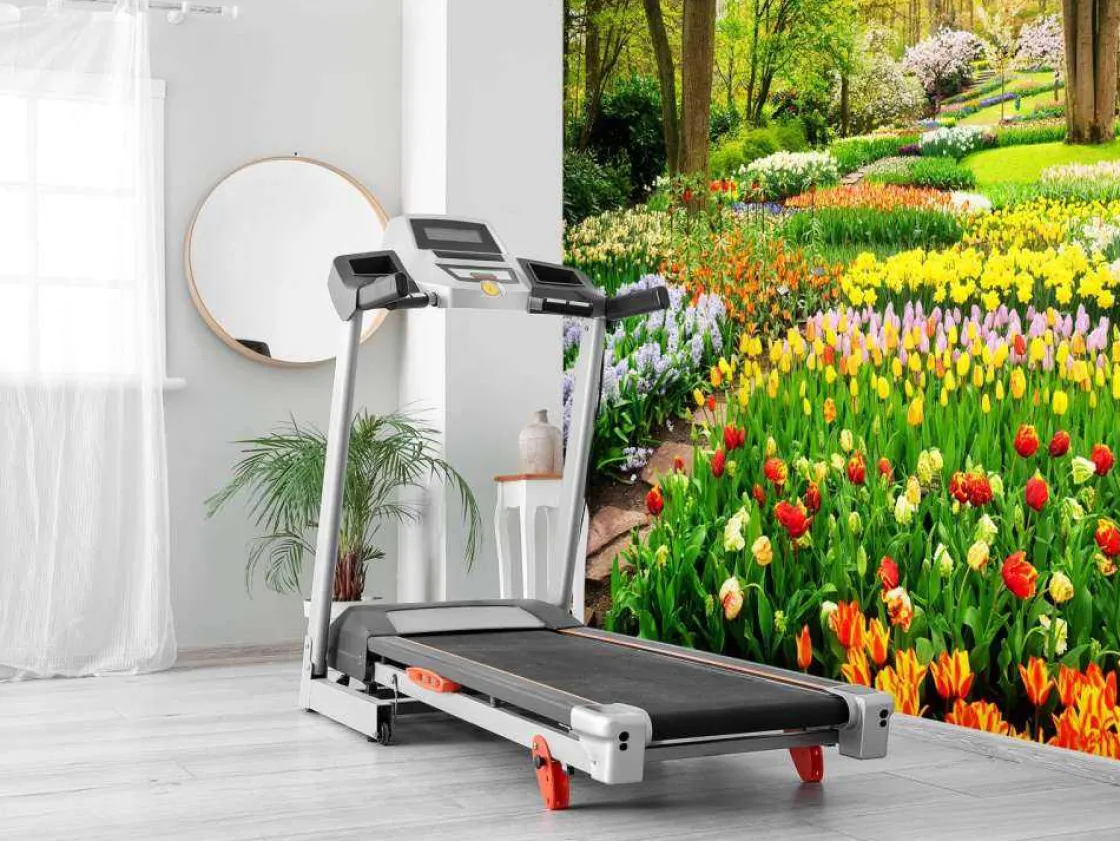 tulpencreaties_in_een_par_7.webp Clearance Tulpencreaties in een park fotobehang Steden | Architectuur