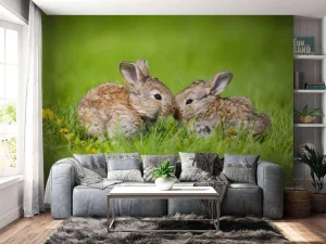 Hot Twee baby haasjes in het gras fotobehang Babykamer | Dieren