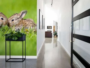 Hot Twee baby haasjes in het gras fotobehang Babykamer | Dieren