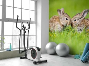 Hot Twee baby haasjes in het gras fotobehang Babykamer | Dieren
