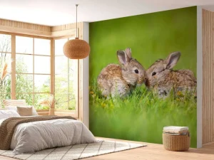 Hot Twee baby haasjes in het gras fotobehang Babykamer | Dieren