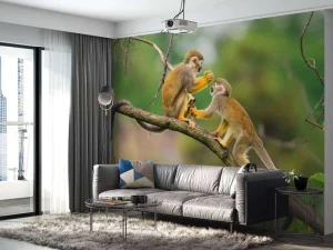 Sale Twee doodshoofdaapjes op een tak fotobehang Dieren