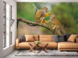 Sale Twee doodshoofdaapjes op een tak fotobehang Dieren