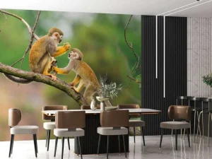 Sale Twee doodshoofdaapjes op een tak fotobehang Dieren