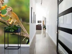 Sale Twee doodshoofdaapjes op een tak fotobehang Dieren