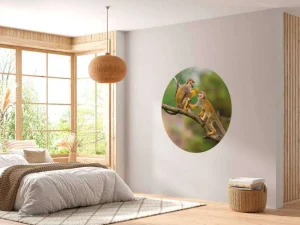 Sale Twee doodshoofdaapjes op een tak fotobehang Dieren