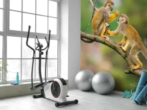 Sale Twee doodshoofdaapjes op een tak fotobehang Dieren