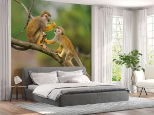 Sale Twee doodshoofdaapjes op een tak fotobehang Dieren