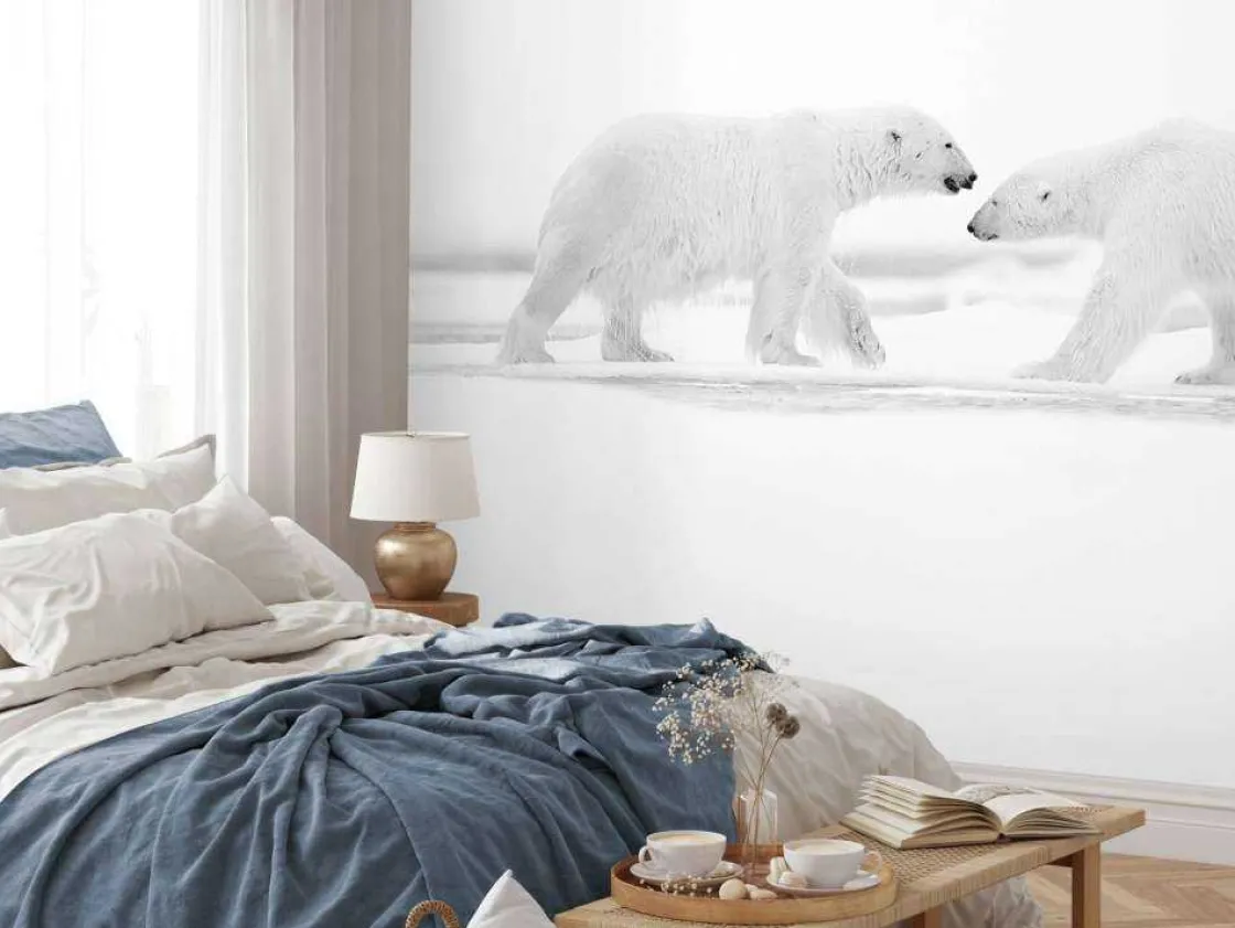 twee_grote_ijsberen_met_e_9.webp Online Twee grote ijsberen met een witte achtergrond fotobehang Dieren