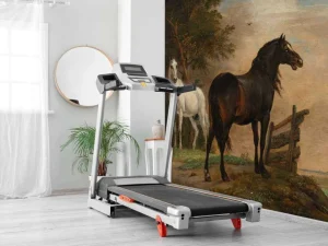 Outlet Twee paarden in de weide bij een hek fotobehang Kunst & Design | Dieren
