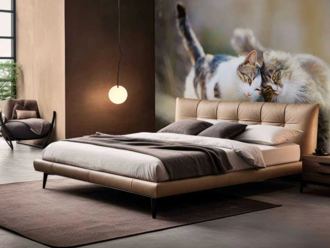 twee_schattige_katjes_fot_1.webp Fashion Twee schattige katjes fotobehang Kinderkamer | Dieren