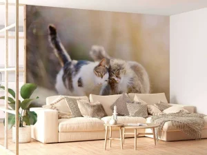 Fashion Twee schattige katjes fotobehang Kinderkamer | Dieren