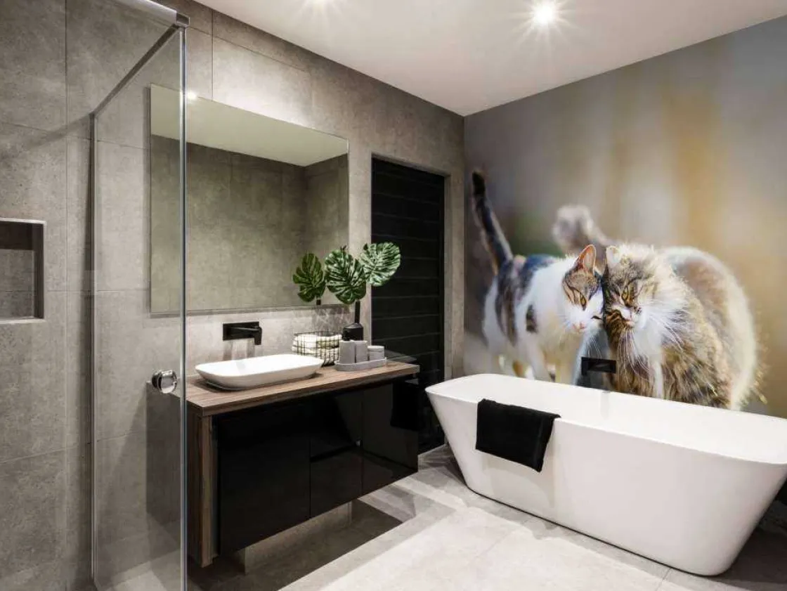 twee_schattige_katjes_fot_8.webp Fashion Twee schattige katjes fotobehang Kinderkamer | Dieren