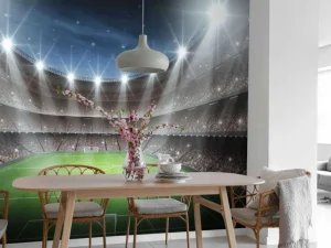 Online Verlicht voetbalstadion met sterrenhemel fotobehang Tienerkamer | Kinderkamer