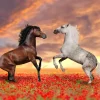 Fashion Verliefde paarden in een bloemenveld fotobehang Kinderkamer | Bloemen