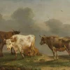Best Vier jonge stieren in de wei fotobehang Kunst & Design | Dieren