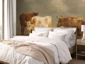 Best Vier jonge stieren in de wei fotobehang Kunst & Design | Dieren