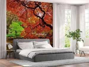 Clearance Vijver met een overhangende rode Japanse esdoorn fotobehang Bloemen