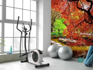 Clearance Vijver met een overhangende rode Japanse esdoorn fotobehang Bloemen