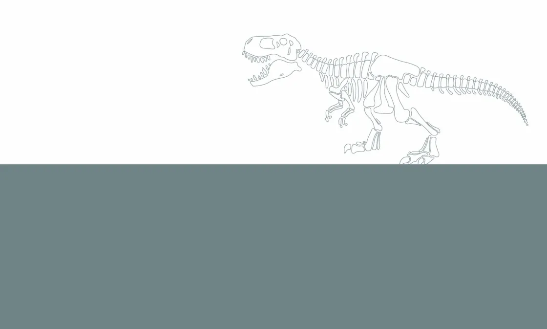 vlakken_met_dino_0.webp Best Vlakken met dino Kinderkamer | Dieren