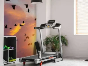 Clearance Vliegende aalscholvers bij zonsondergang fotobehang Dieren