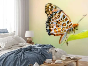 Online Vlinder op Plant fotobehang Dieren