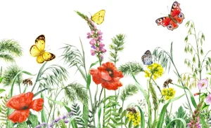 Best Vlinders in de natuur design fotobehang Dieren | Bloemen