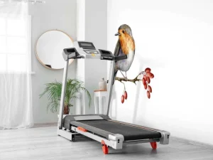 Clearance Vogeltje op een takje met een witte achtergrond fotobehang Hobbykamer | Gang
