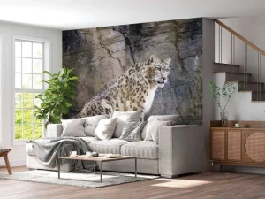 Discount Volwassen sneeuwluipaard op een rots fotobehang Dieren
