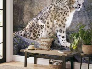 Discount Volwassen sneeuwluipaard op een rots fotobehang Dieren