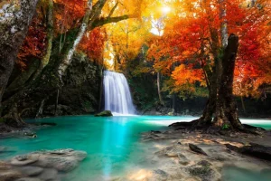 Clearance Waterval in het diepe woud fotobehang Bloemen