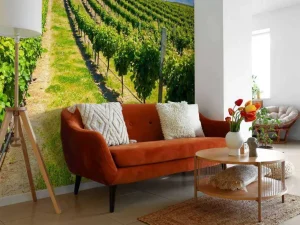 Outlet Wijngaard in de middag fotobehang Bloemen