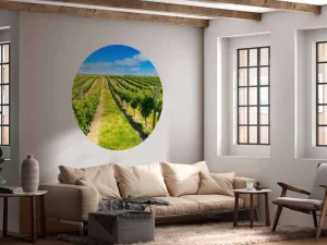 Outlet Wijngaard in de middag fotobehang Bloemen