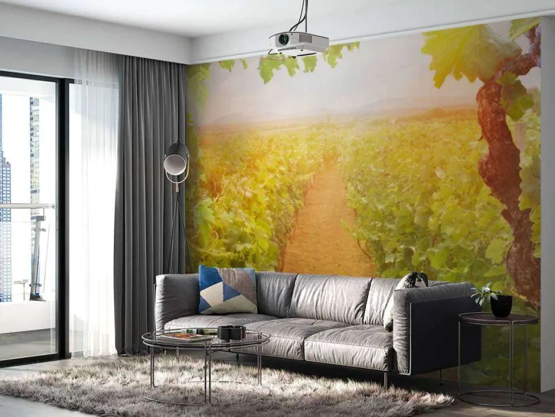 wijngaard_met_druiven_op__2.webp Best Wijngaard met druiven op de voorgrond fotobehang Bloemen