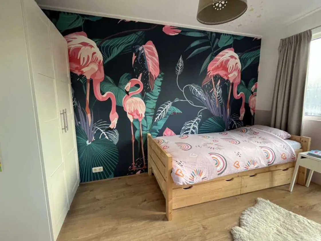 wilde_roze_flamingos_1.webp Online Wilde roze flamingo's Dieren
