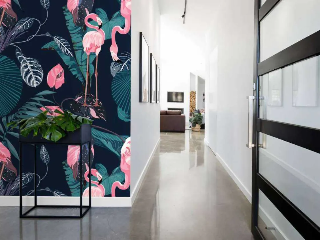 wilde_roze_flamingos_5.webp Online Wilde roze flamingo's Dieren