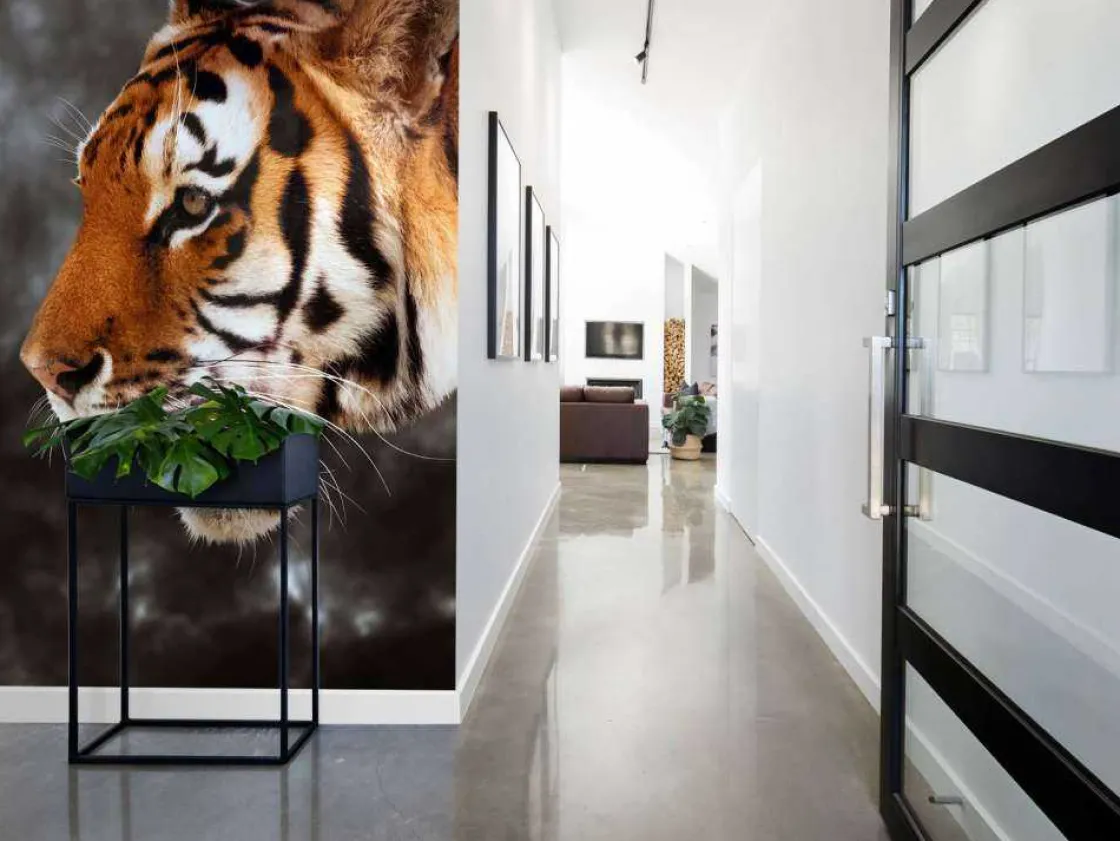 wilde_tijger_op_zoek_naar_4.webp Clearance Wilde Tijger op zoek naar prooi fotobehang Dieren