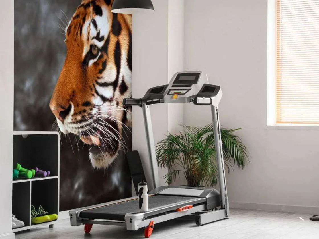 wilde_tijger_op_zoek_naar_6.webp Clearance Wilde Tijger op zoek naar prooi fotobehang Dieren