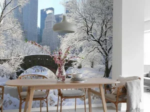 Fashion Winter in New York fotobehang Architectuur
