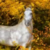 Sale Wit Paard in de Herfst fotobehang Bloemen