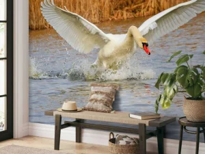 Hot Witte zwaan vliegt weg fotobehang Dieren