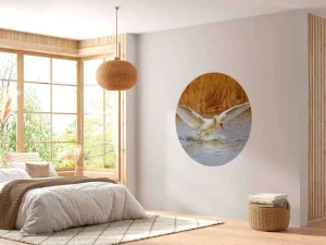 Hot Witte zwaan vliegt weg fotobehang Dieren