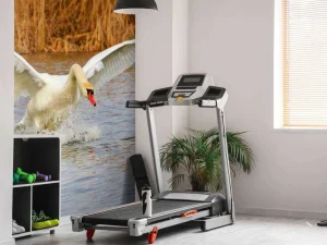 Hot Witte zwaan vliegt weg fotobehang Dieren