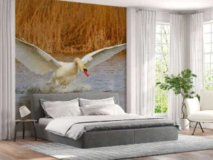 Hot Witte zwaan vliegt weg fotobehang Dieren