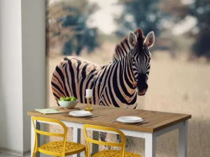 Outlet Zebra in het wild fotobehang Dieren