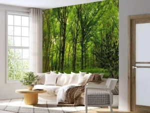 Fashion Zomers bos met doorkomend daglicht fotobehang Bloemen