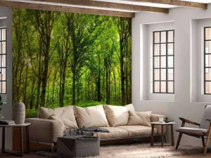 Fashion Zomers bos met doorkomend daglicht fotobehang Bloemen