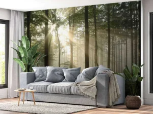 Fashion Zonlicht achter Bomen in Bos fotobehang Bloemen