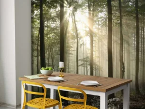 Fashion Zonlicht achter Bomen in Bos fotobehang Bloemen