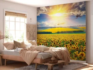 Sale Zonnebloemen Veld met Opkomende Zon fotobehang Bloemen